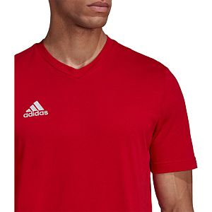 Adidas Entrada shirt