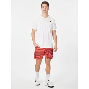 Adidas Club Graphic Short