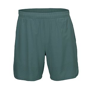 The IM 2in1 Short