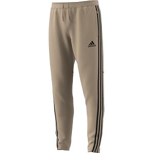 Adidas Tan Tr Pant