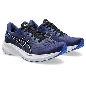 Asics GT 1000 13